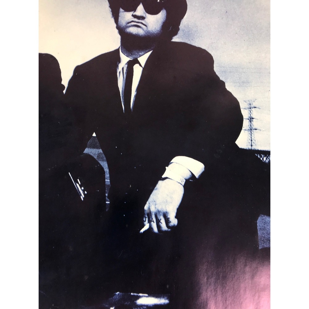 VTG 1990 Blues Brothers Poster A Briefcase Full of Blues 23" W x 35" H READ - Picture 12 of 16